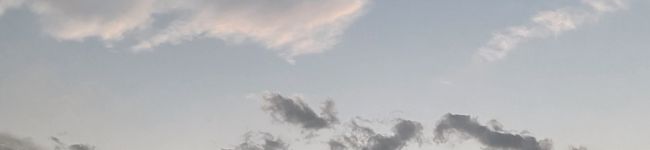 ぴっぴだよ's header image