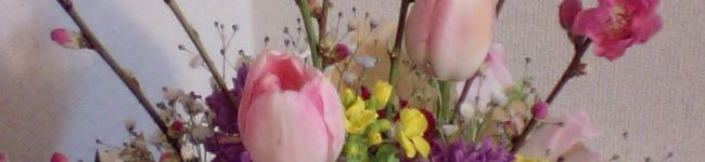 momolight's header image