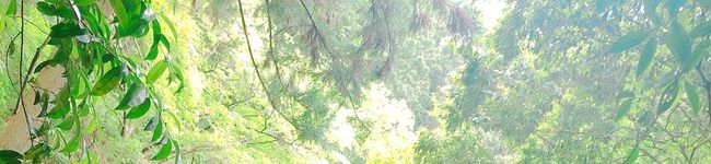ゆうこyk's header image