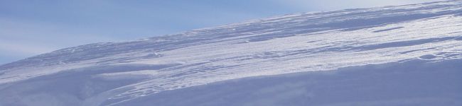 matchasuki's header image