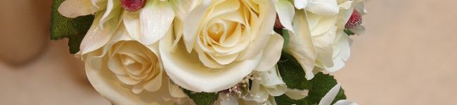 phnanzu's header image