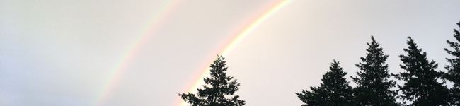enyufarm's header image