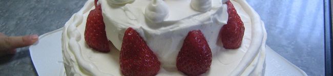 wombat333's header image
