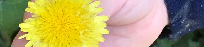 ズボラかあさん's header image