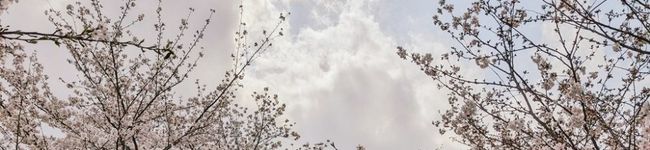 kaGoffy's header image