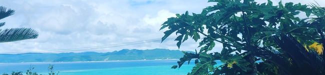 reochan__'s header image
