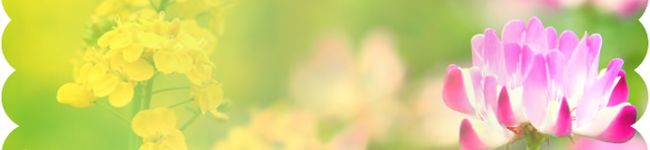 ゆくまゆ's header image
