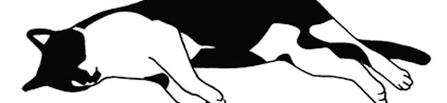 vinapena's header image