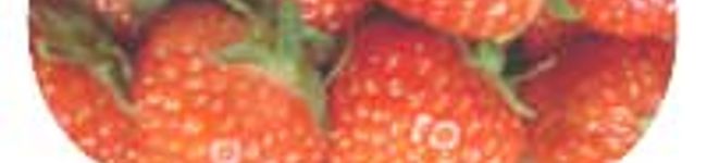 ＋＋Ｔｏｍｏ＋＋'s header image