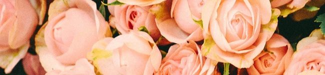 ameri*'s header image