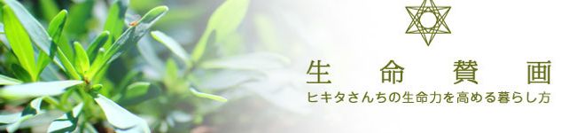 ヒキタさんちの台所's header image