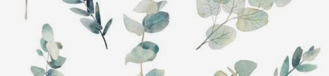 Magnolia★'s header image