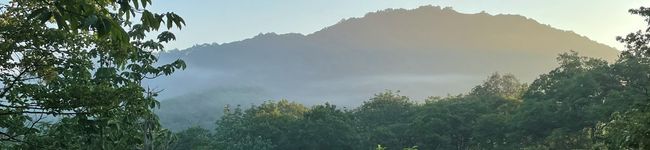 Anna131's header image