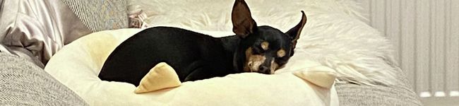minaqoop's header image