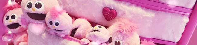 kao6v6oak's header image