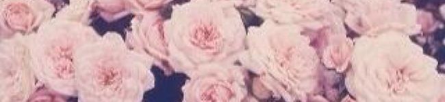 piiie113's header image