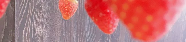 moppi_00's header image