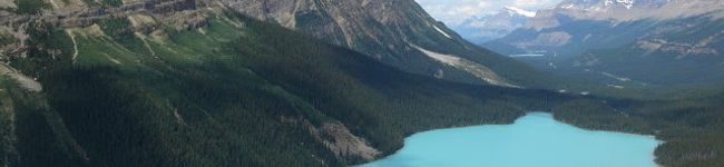 azusaco's header image
