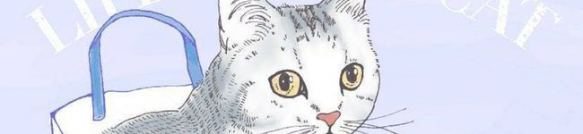 村中夏実's header image