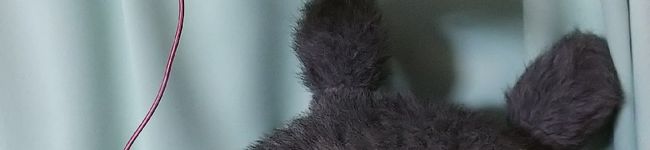 クックPSM5CD☆'s header image