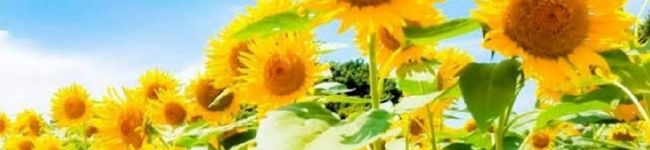 YMYmama♡'s header image