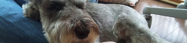 yokko_p's header image