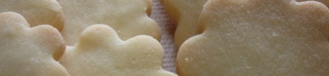 cook Tommy's header image