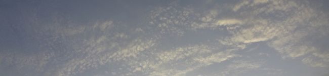 ぺぽぺぽ's header image