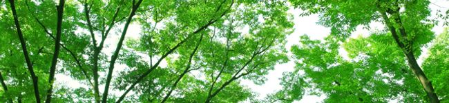 misao0322's header image