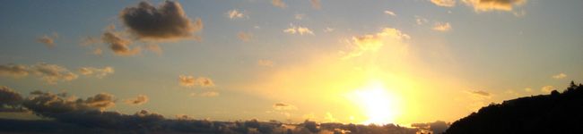 pacotto's header image