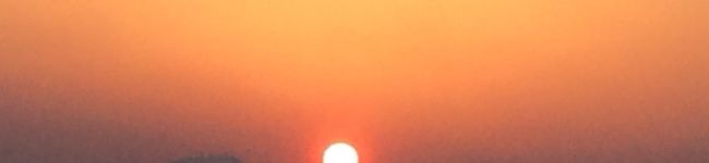 kimig's header image