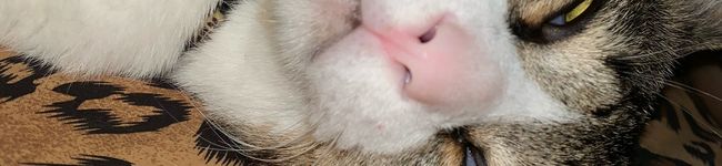 ♡みL1と♡'s header image
