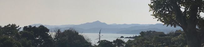 ポメミ's header image
