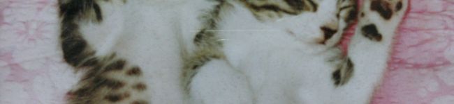 未来１００１'s header image