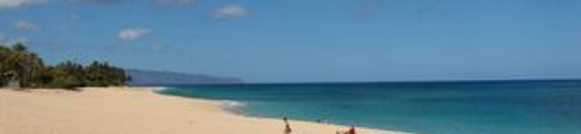 ALOHA's header image