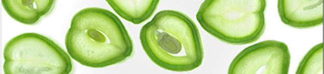 TemCat's header image