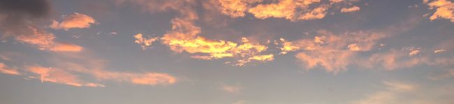 ヨル's header image