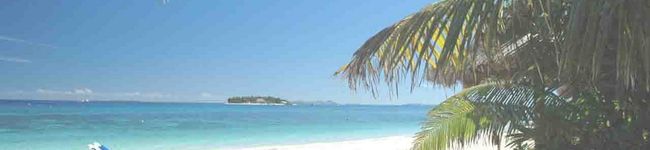 shihokaho's header image