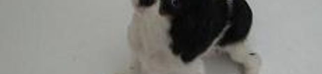ユニキャバ's header image