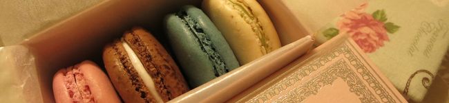 チビトン's header image