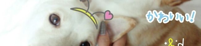 せーなな。's header image