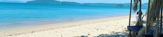 purefruit's header image