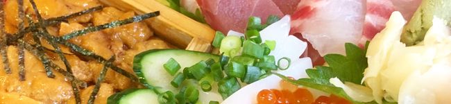バンガシウス's header image