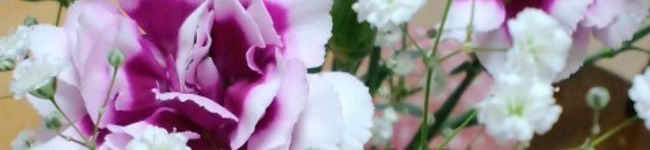 ＣＬＯＷ's header image