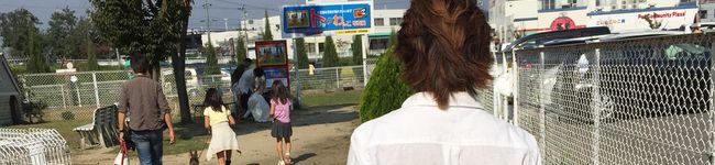 ハイボール好きな人's header image
