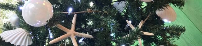 emichuke's header image