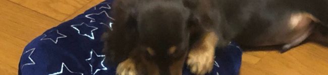 S___rc's header image