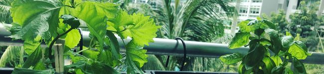 Nadys_K's header image