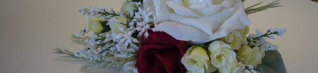 sweetwater's header image
