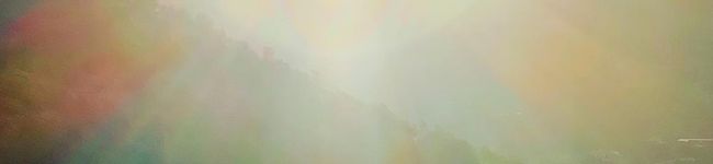 Elinor A 's header image
